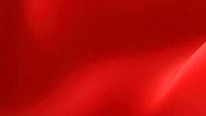 全国人大常委会机关党组专题辅导文章